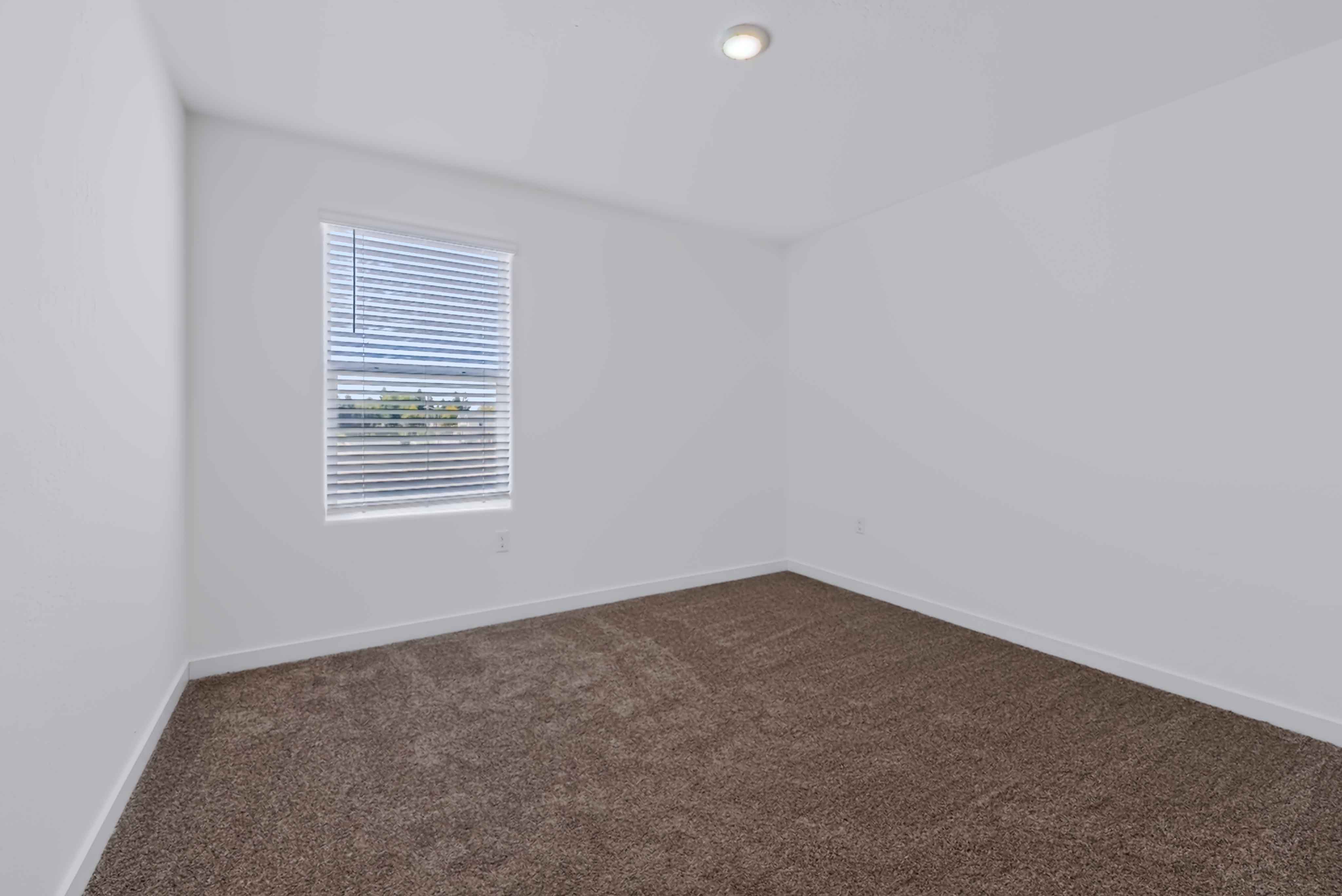 A room with a carpet and a window.