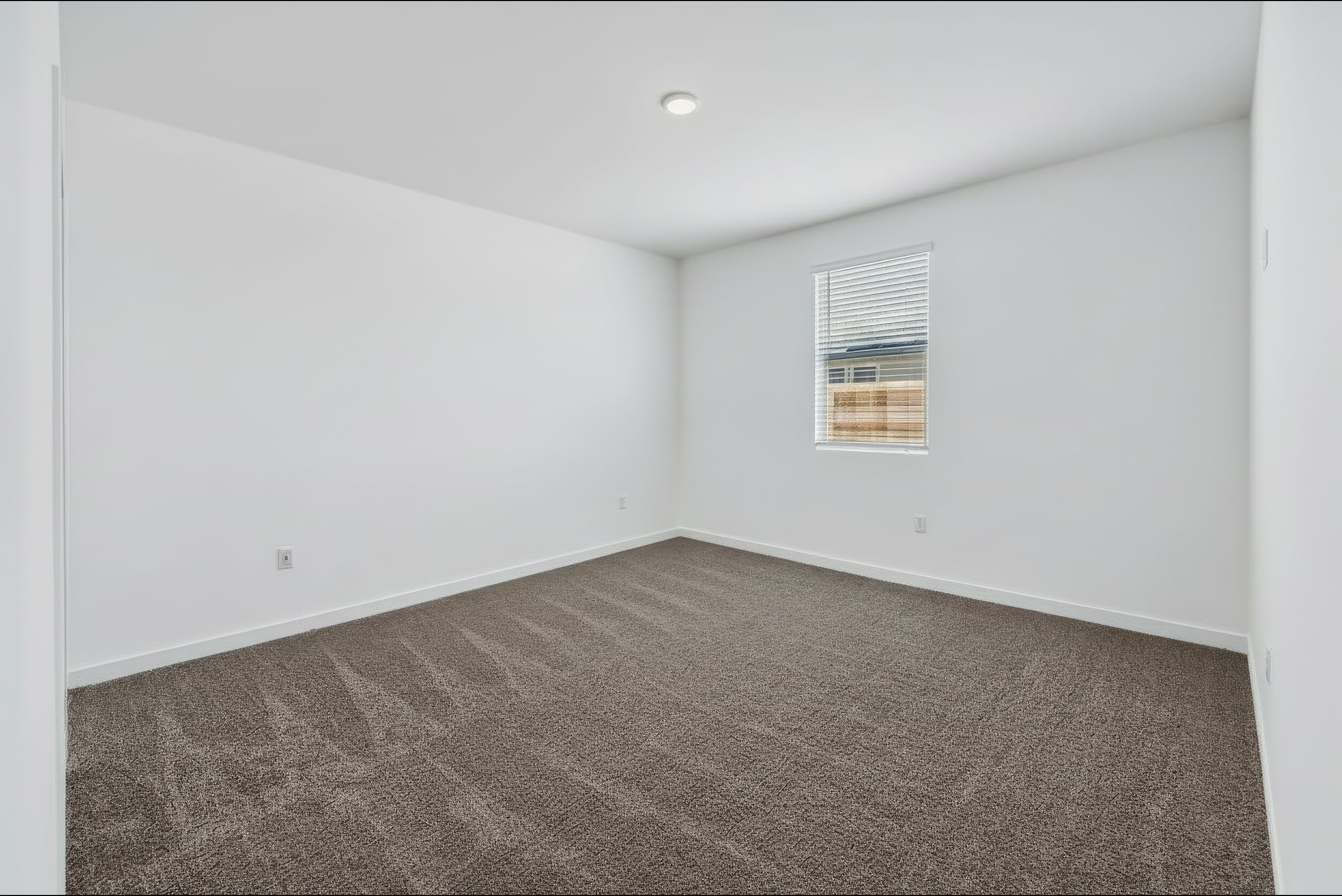 A room with carpet and a rug.