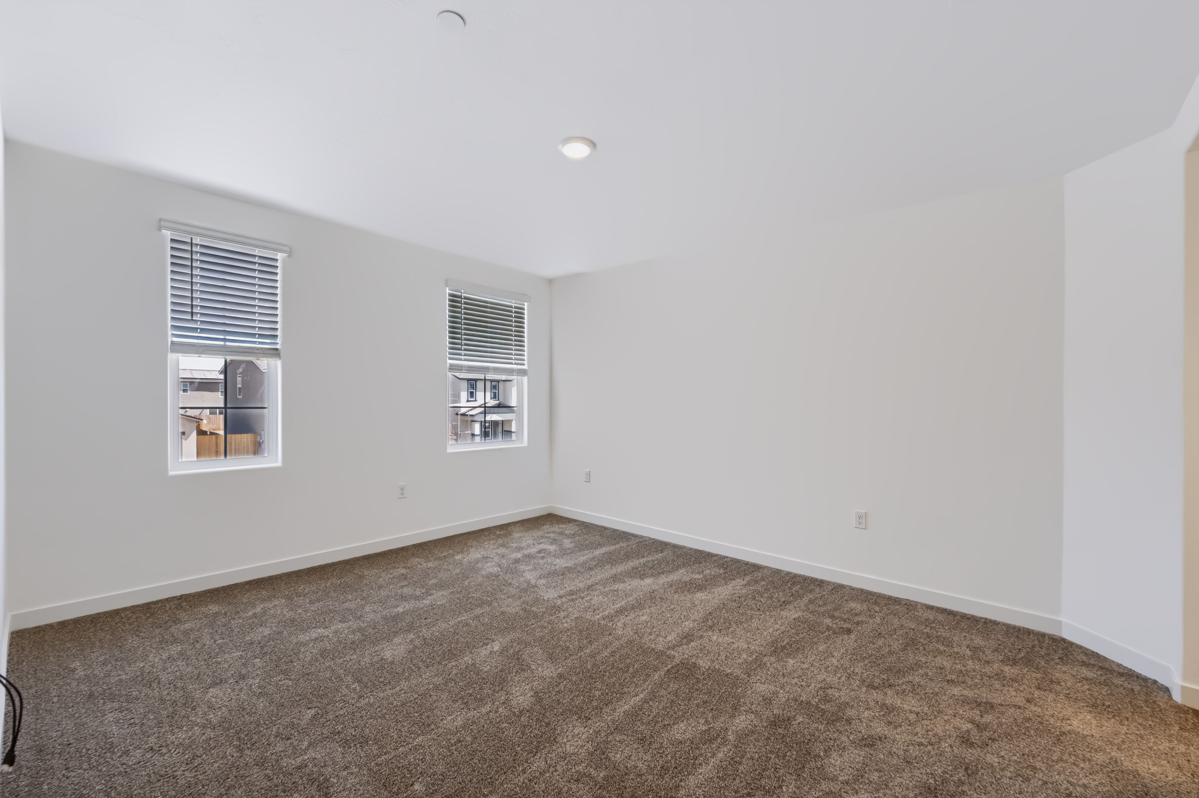 A room with a carpet and windows.