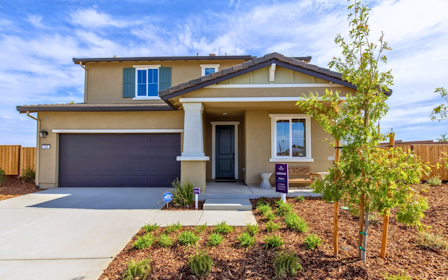 A house with a garage and a tree in the front.