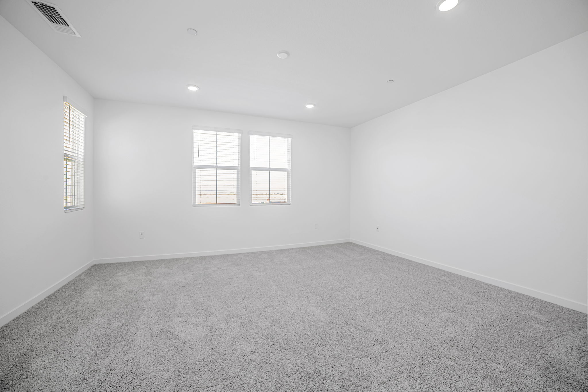 A room with a carpet and windows.