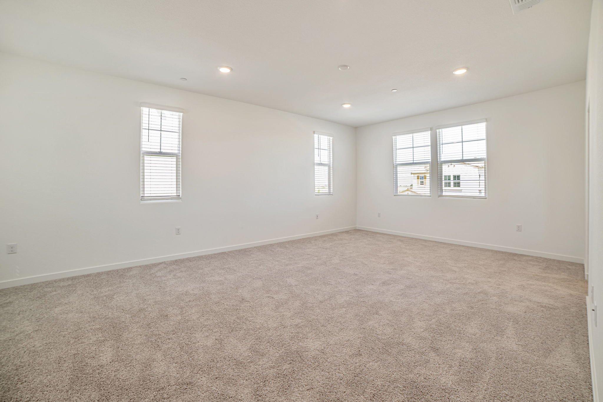 A room with a carpet and windows.