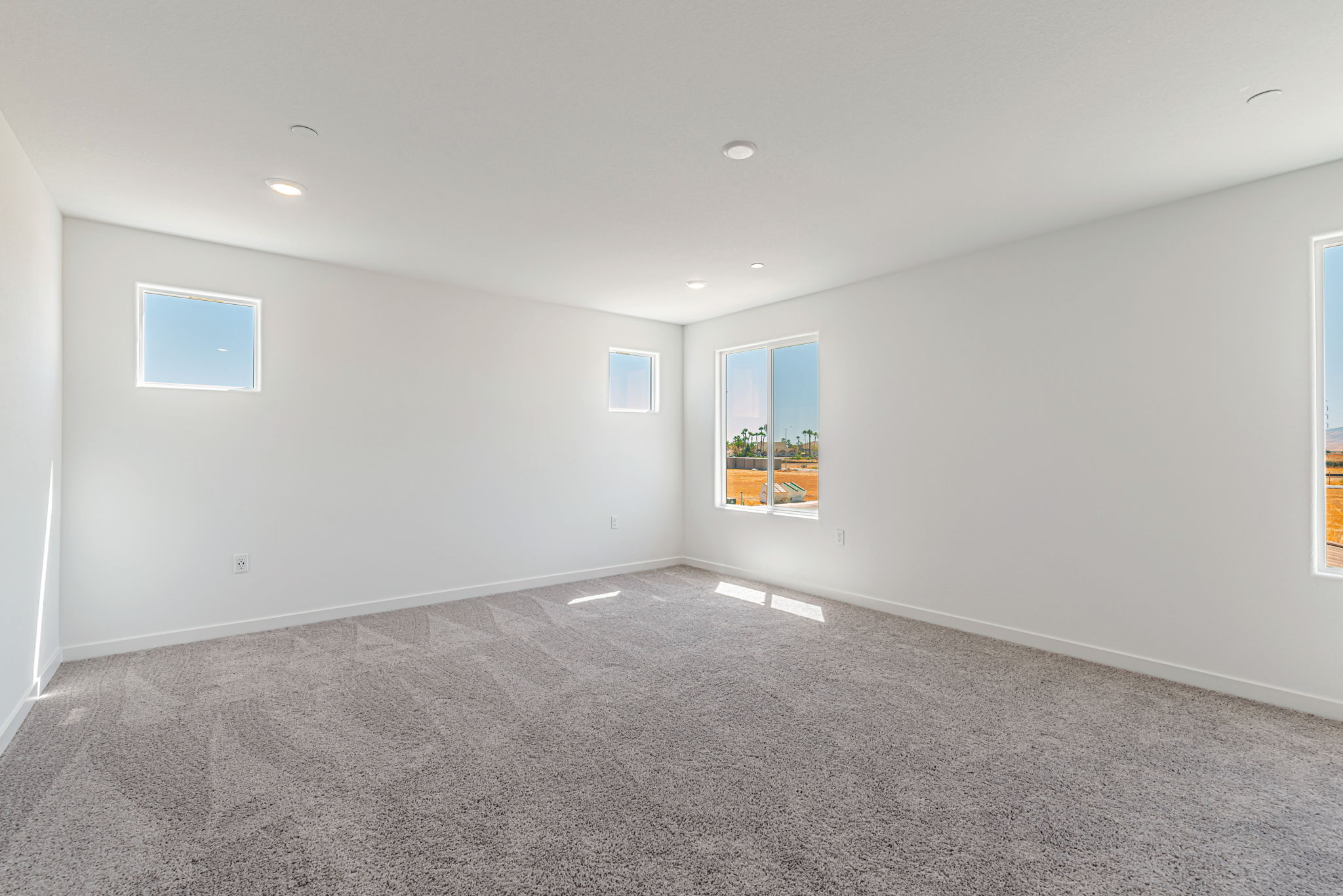 A room with a carpet and windows.